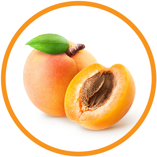 Apricot-Kernel-Oil