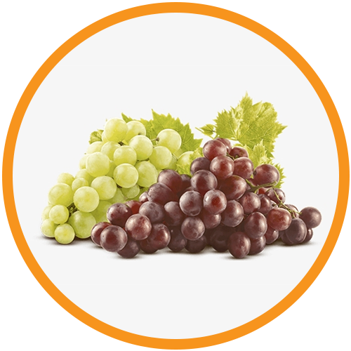 Grapeseed-Oil