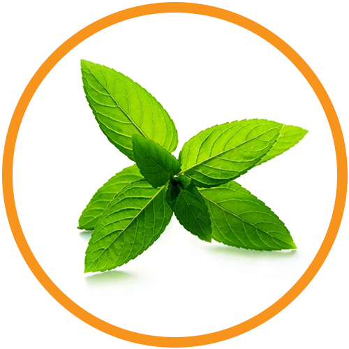Peppermint-Oil