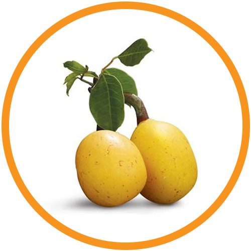 Pure-Marula-Oil