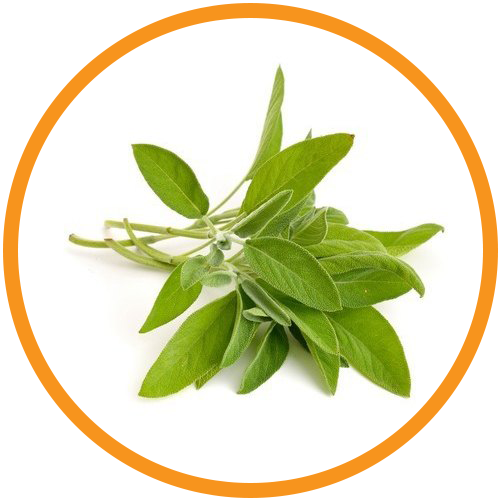 Sage-Extract