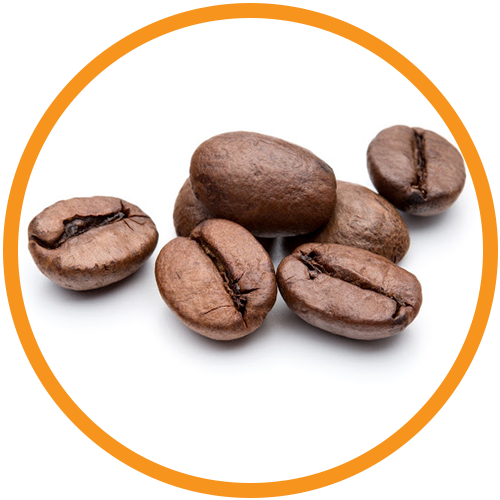 Arabica-Coffee-Bean-Extract