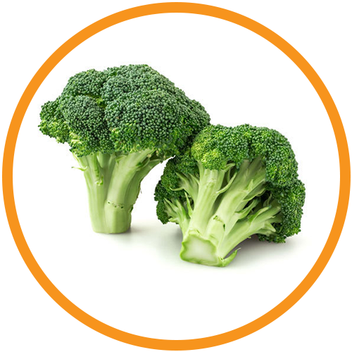 Broccoli-Seed-Oil