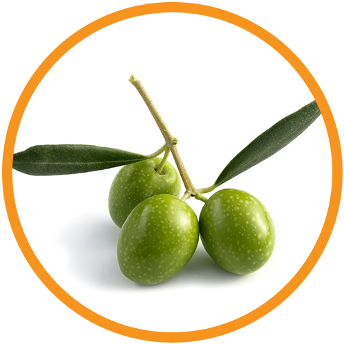 Cold-Pressed-Extra-Virgin-Olive-Oil