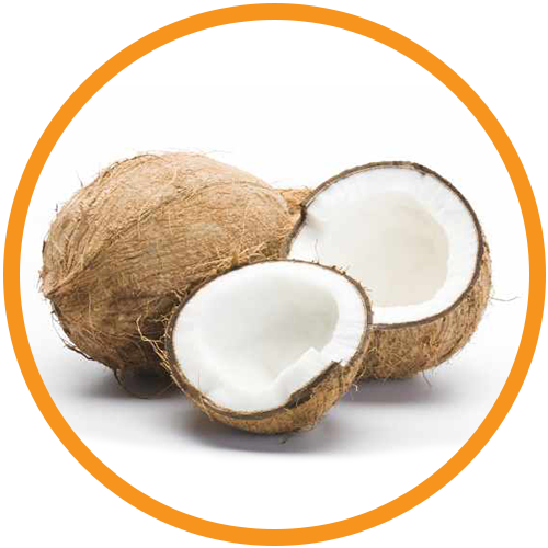 Cocodiethanolamide-(Coconut-Oil-Derived)