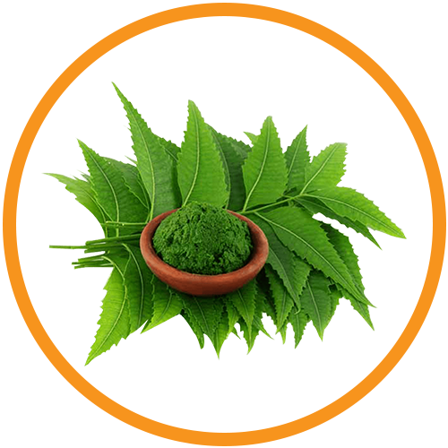 Neem-Leaf-Extract