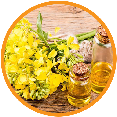 Vegetable-Oil-Derived