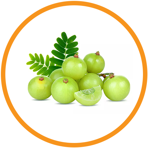 Indian-Gooseberry