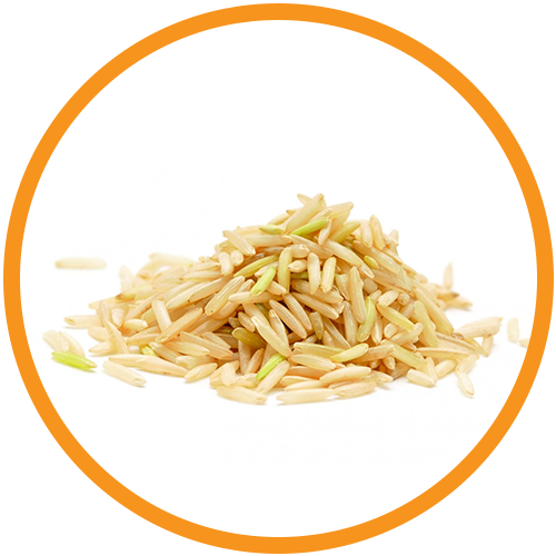 Rice-Protein