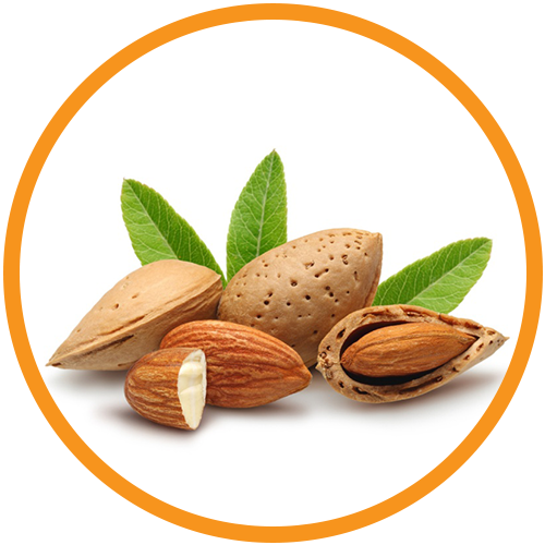 Almond-Oil