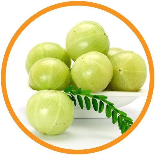 Amla-Extract
