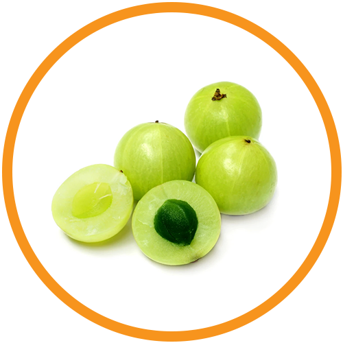 Amla-(Indian-Gooseberry)-Extract