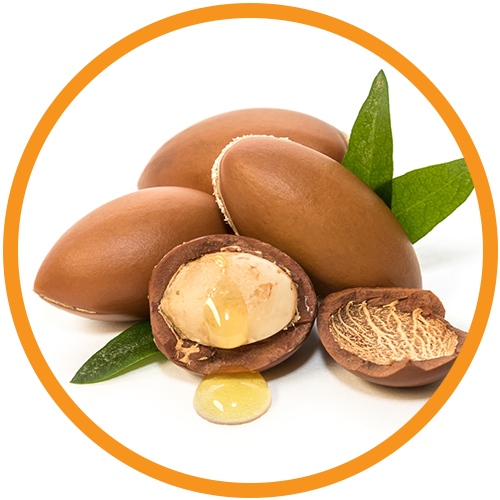 Cold-Pressed-Argan-Oil