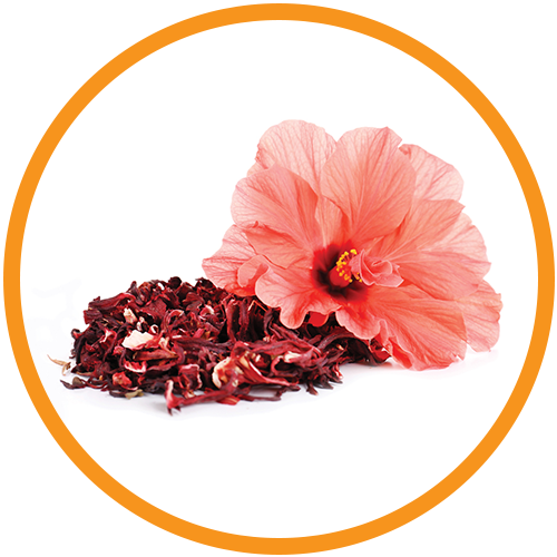 Hibiscus-Extract