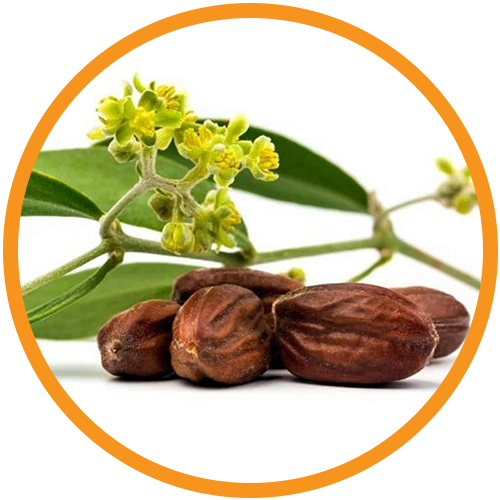 Jojoba-Oil