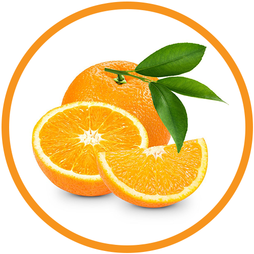 Nagpur-orange-Extract