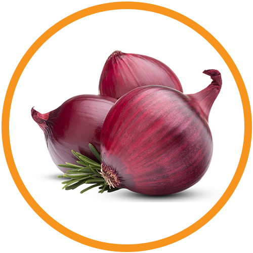 Red-Onion-Juice