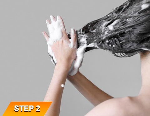 Red Onion Shampoo Step-2 Red Onion Shampoo Step-2
