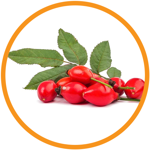 Rosehip-Oil