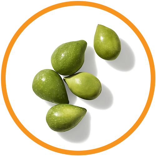 Kakadu-Plum