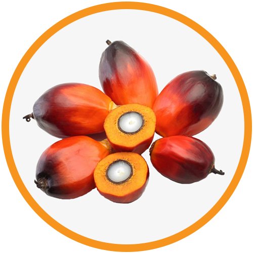 Red-Palm-Oil
