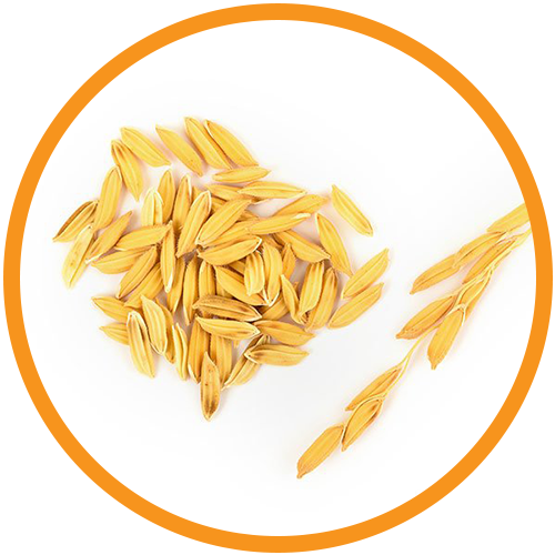 Rice-Bran