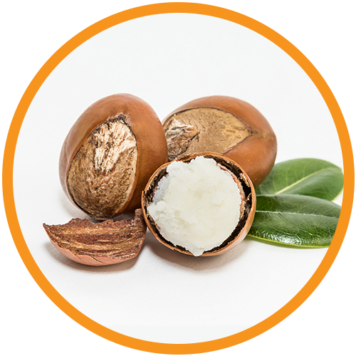 Shea-Butter