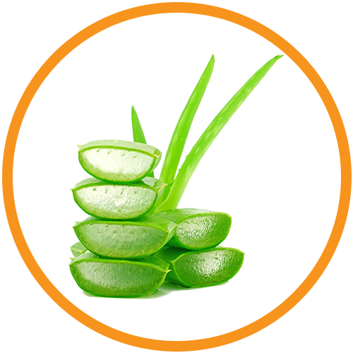 Aloe-Vera