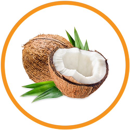 Dried-Coconut