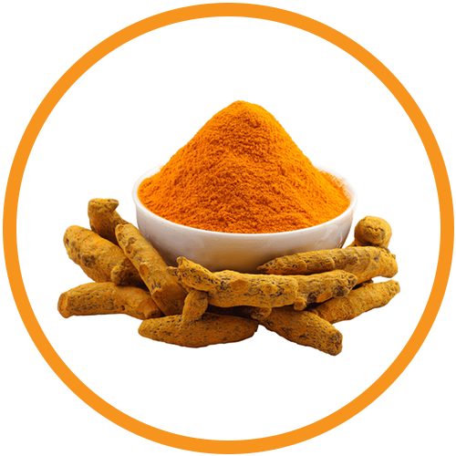 Turmeric-Powder