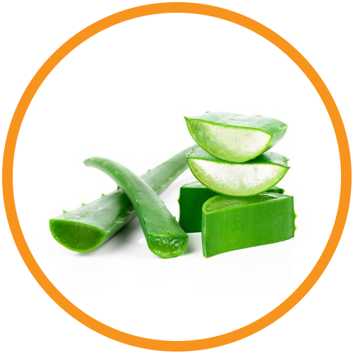 Aloe vera Leaf Extract