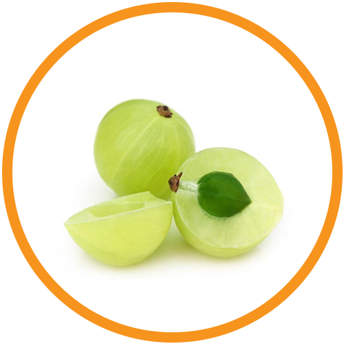 Amla-Extract