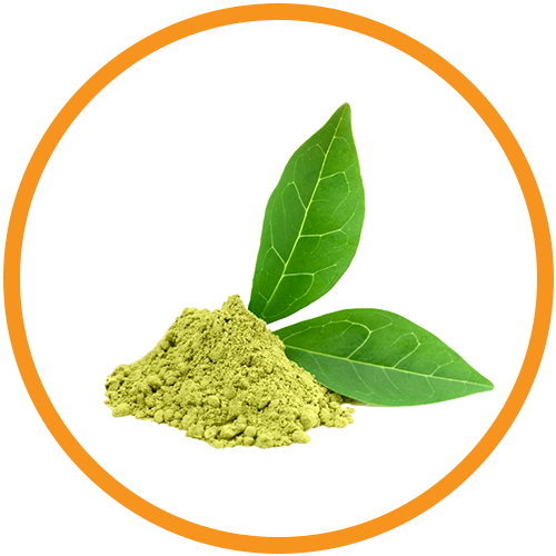 Greeen-Tea