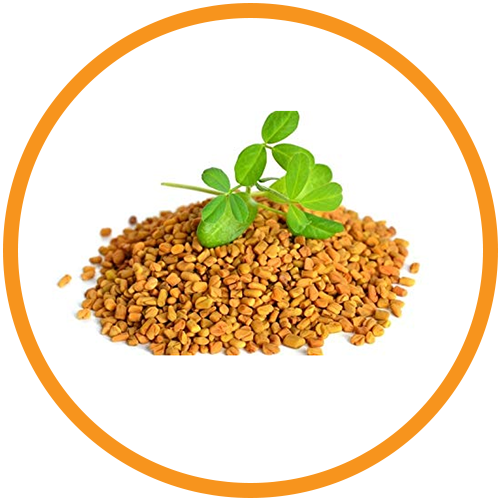 Methi-Seeds