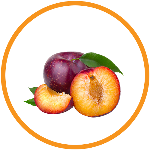 Plum Extracts