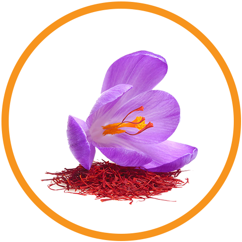 Saffron Extract