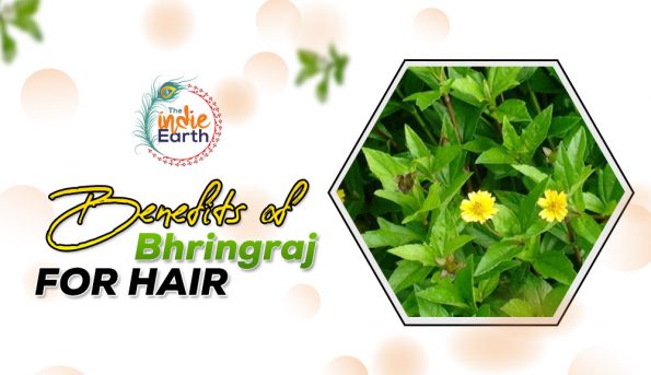 Benefits-of-Bhringraj-for-hair