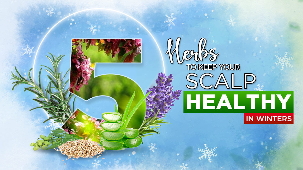 5-Herbs-To-Keep-Your-Scalp-Healthy-in-Winters