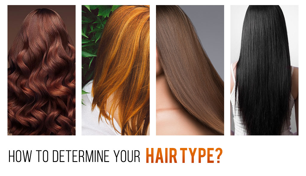 How to Determine Your Hair Type? – The Indie Earth