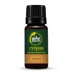Cypress
